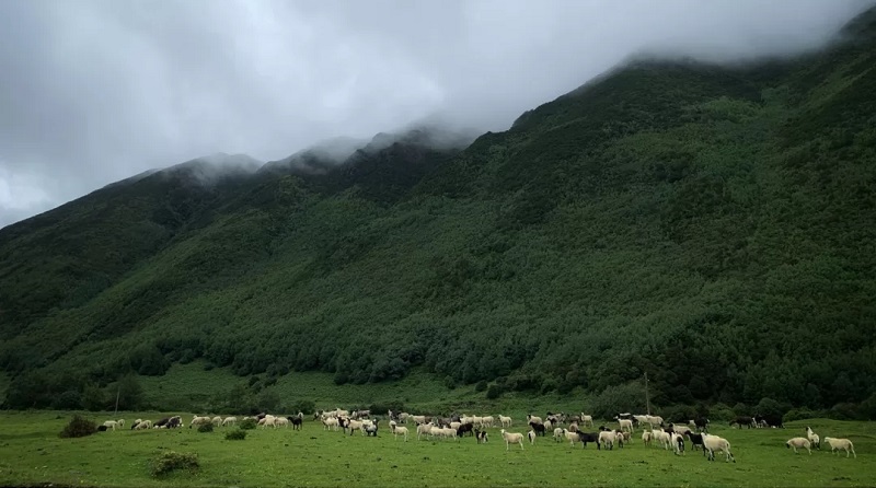 如何選擇適合自己的研學(xué)旅行及選擇研學(xué)機(jī)構(gòu)的標(biāo)準(zhǔn)是什么？