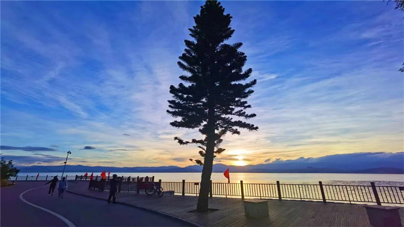 大理濃烈的夏日味道，都藏在洱海生態(tài)廊道