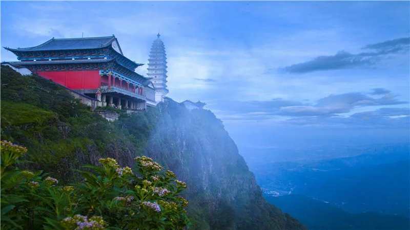 大理旅游 大理雞足山傳來(lái)杜鵑花訊 美得像仙境