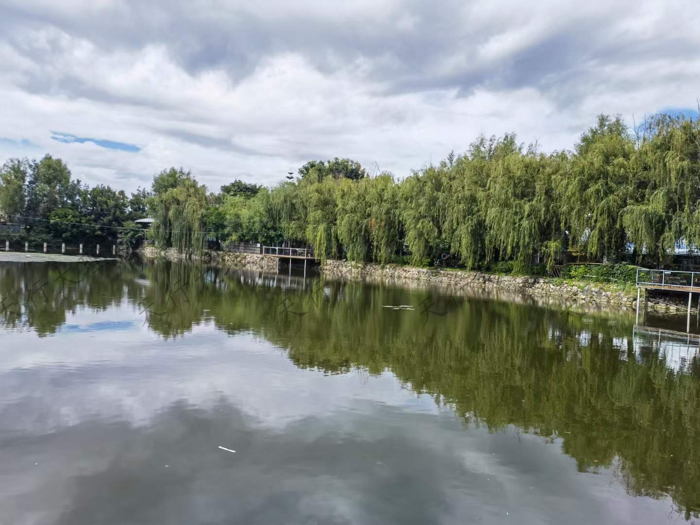 大理古城天龍烤羊王餐廳